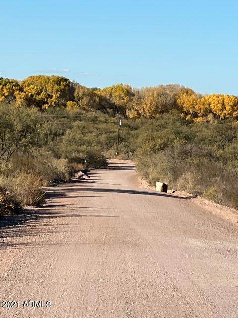 TBD Willcox 014C Road - Photo 1