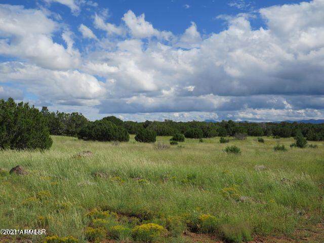 Show Low Pines Unit 1 Lot 167 - Photo 1