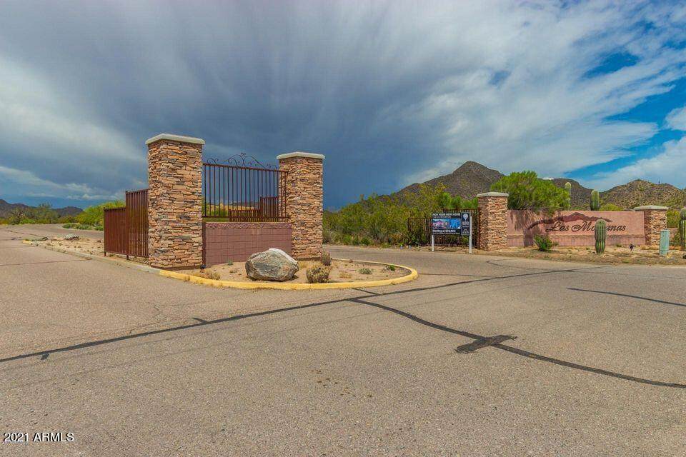 8376 Camino Rica Drive - Photo 1