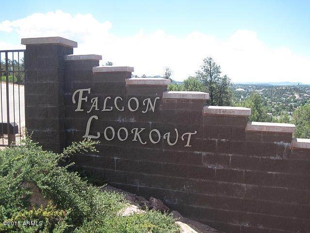 1003 Falcon Lookout Lane - Photo 1