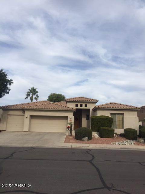 382 Carob Drive - Photo 1