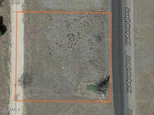 18628 Joseph Hodge Road - Photo 1