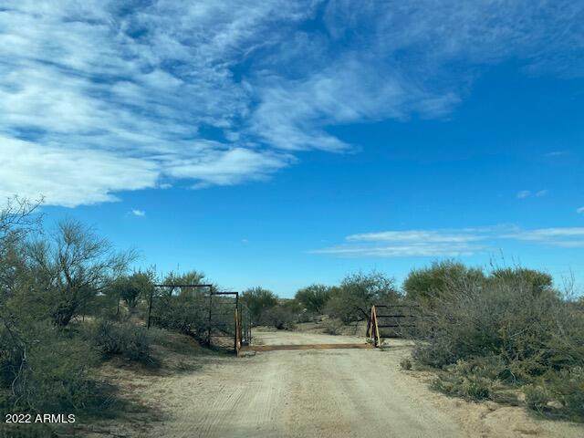 0 Barkerville Road - Photo 1