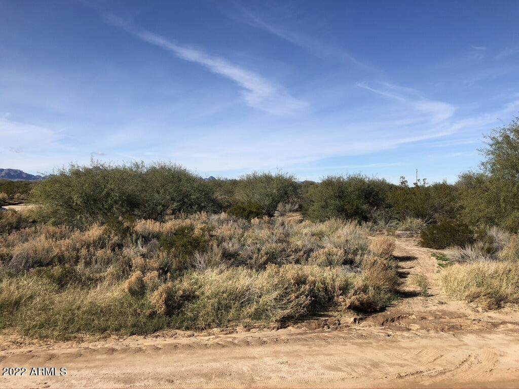 52000 Buckeye Road - Photo 1