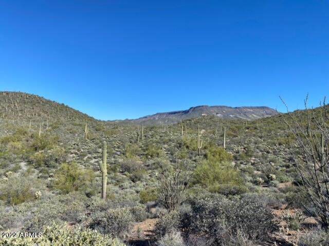 45XXX Cottonwood Canyon Road - Photo 1