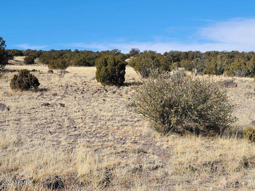 Lot 46 Windsor Valley Ranch - Photo 1