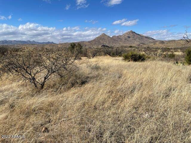 1121 Hebilla Ct - Photo 1