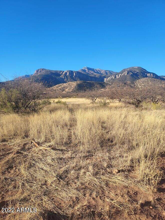 TBD Lot D Richards Road - Photo 1
