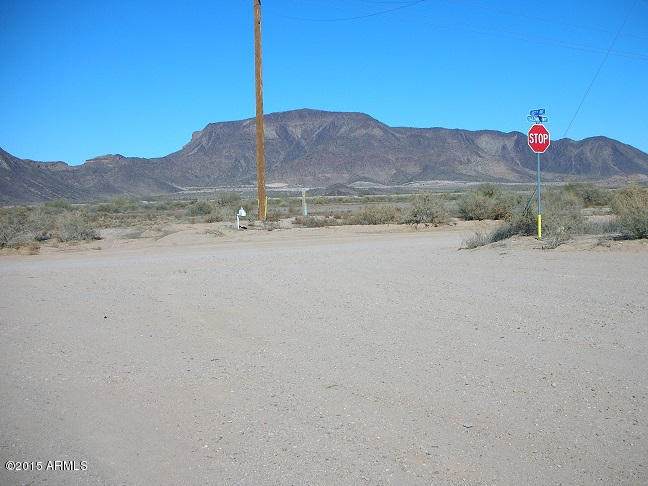 487XX Salome Highway - Photo 1