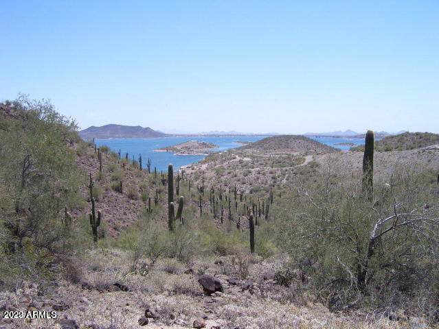 OOXX Lake Pleasant Road - Photo 1