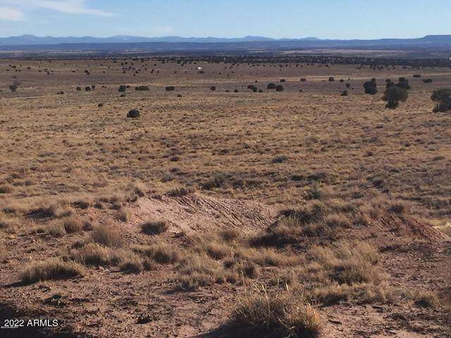 Carrizo Ranches Lot 297 - Photo 1