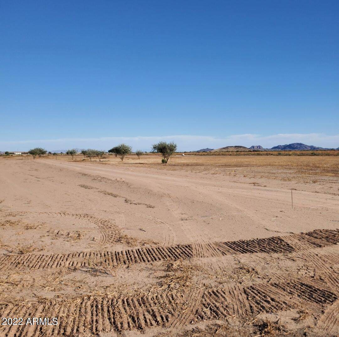 0 Buckskin Place - Photo 1