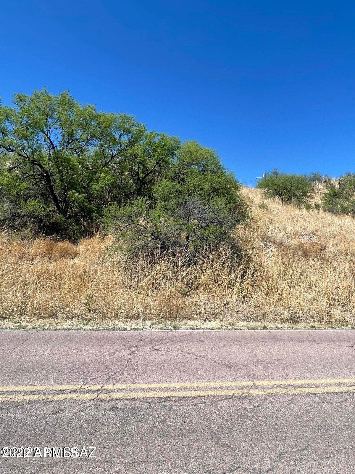 582 Peck Canyon Drive - Photo 1