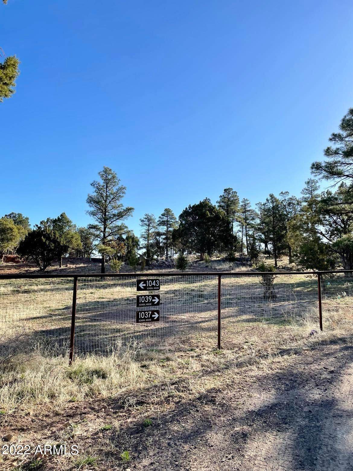 1043 School House Lane - Photo 1