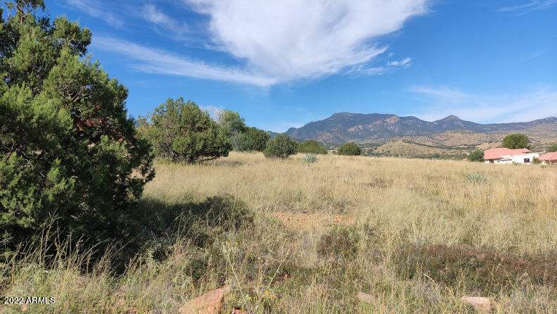 TBD Old Spanish Trail - Photo 1