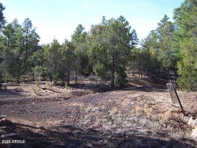000 Timber Ranch Road - Photo 1
