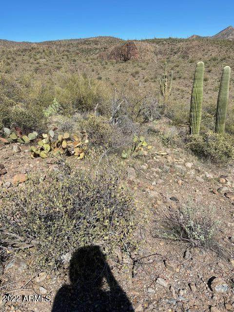 35800 Humbug Mine Road - Photo 1