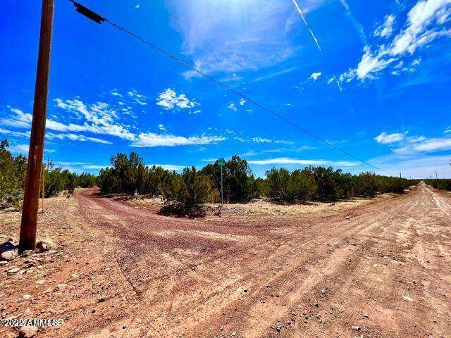 9095 Chimisa Ranch Road Road - Photo 1