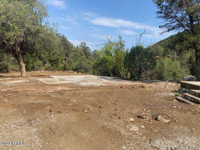 0 Forest 473 Road - Photo 1