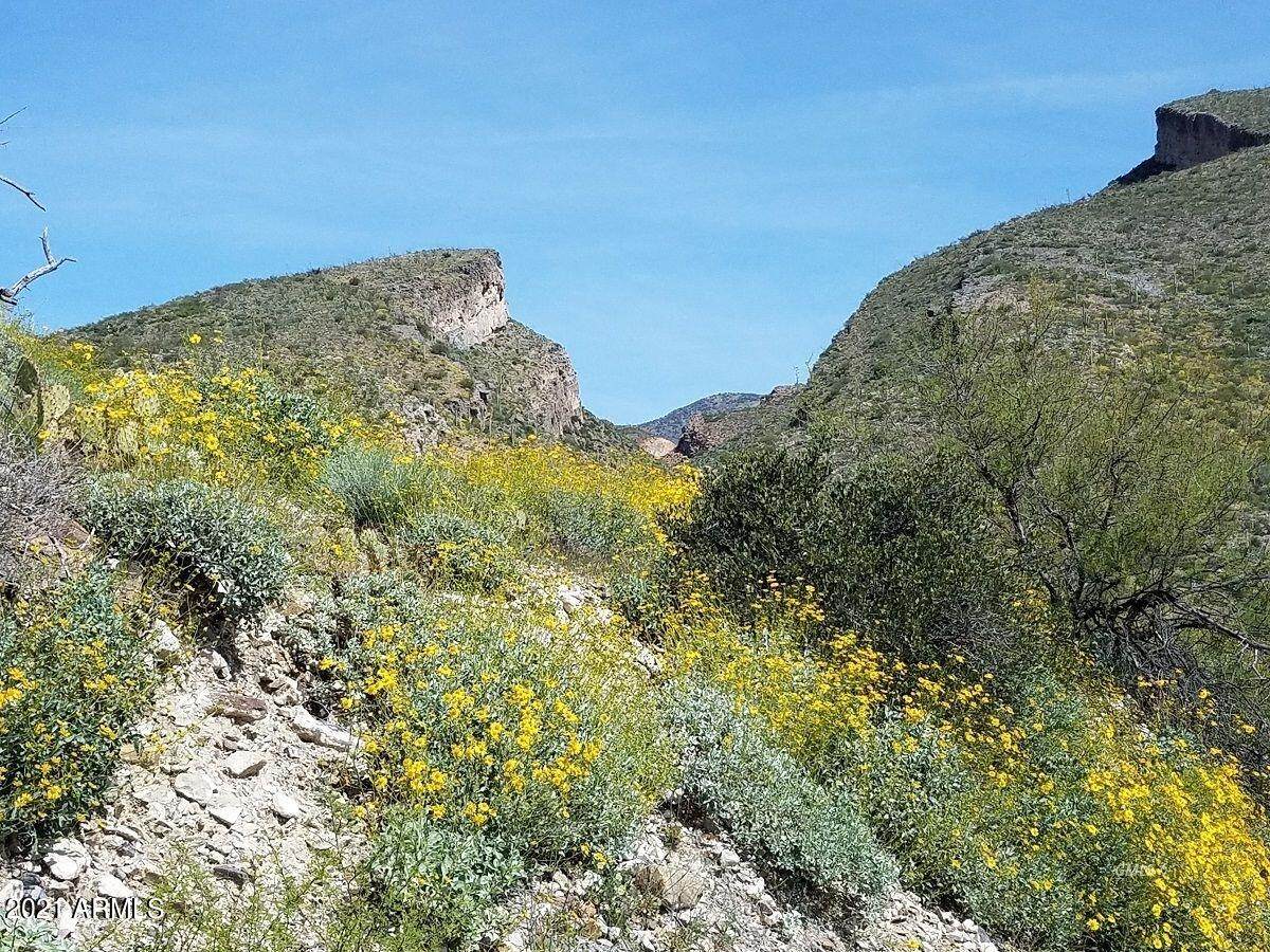 MM 156 Highway 77 - Photo 1