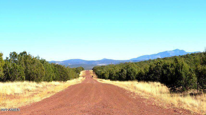 3458 John Charles Drive - Photo 1