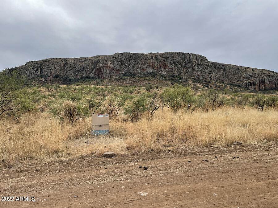 TBD Tejano Springs Rd - Photo 1