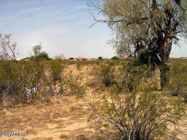 8182 Calle Hermosa Circle - Photo 1