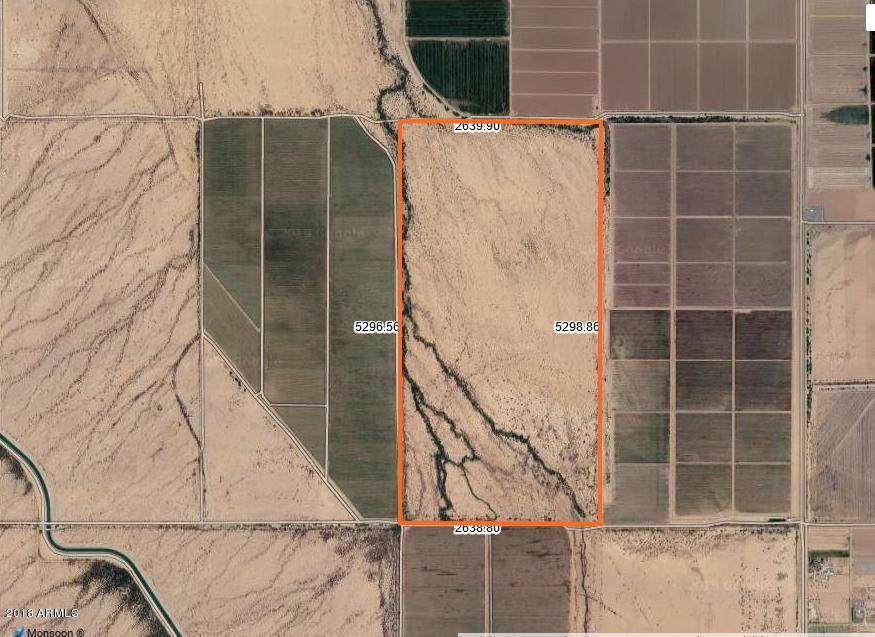 320-Acres Of Marsh & Anderson Road - Photo 1
