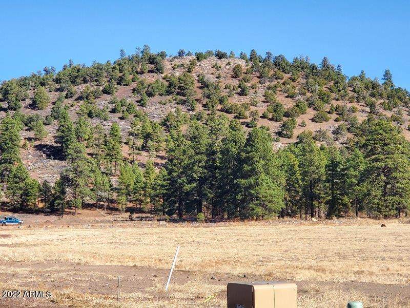 6370 Johnson Ranch Road - Photo 1