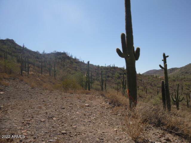 0 7th Street - Photo 1