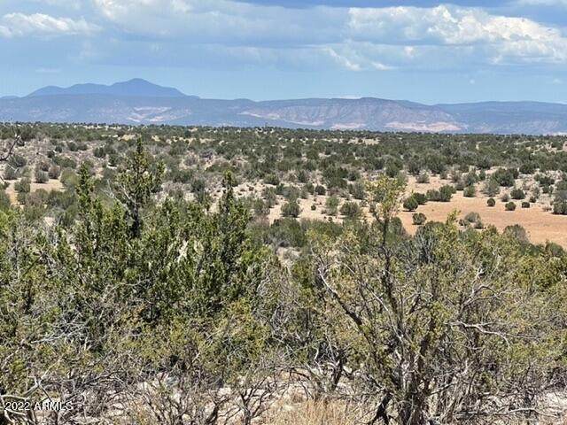 000000 Prescott Ranch Road - Photo 1