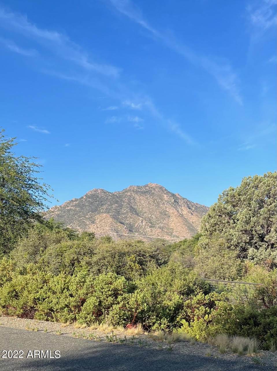 8640 Oak Forest Drive - Photo 1
