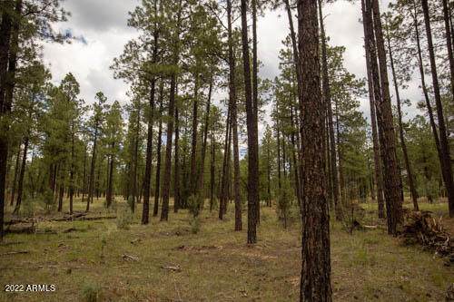 TBD 3 Acres Off Wyoming Lane - Photo 1