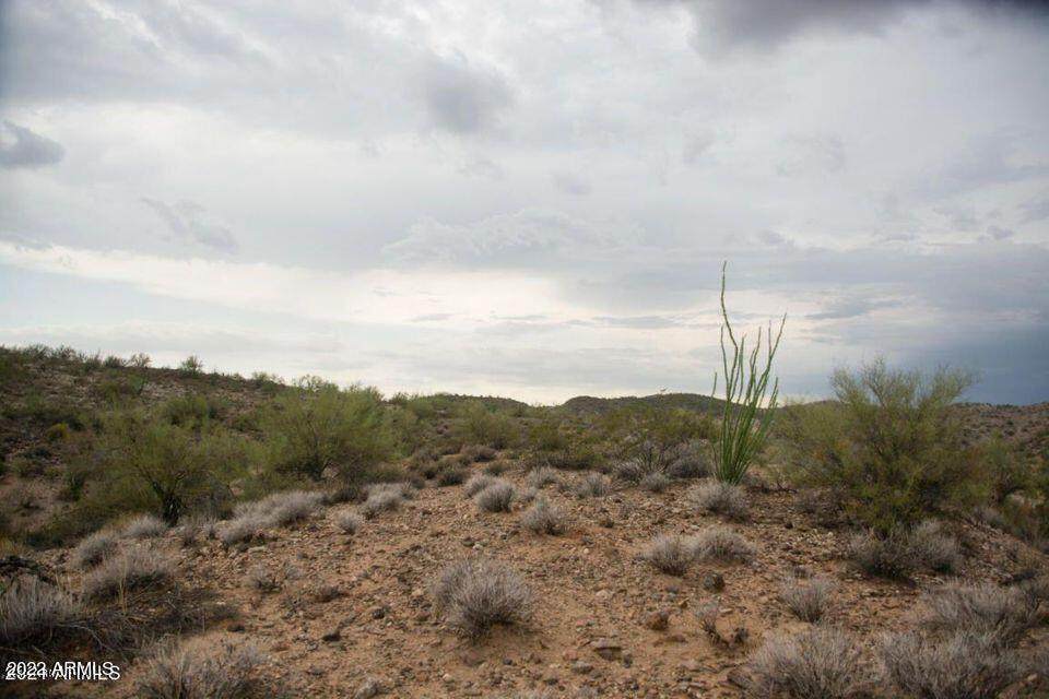 36325 Scenic Loop 0 Road - Photo 1