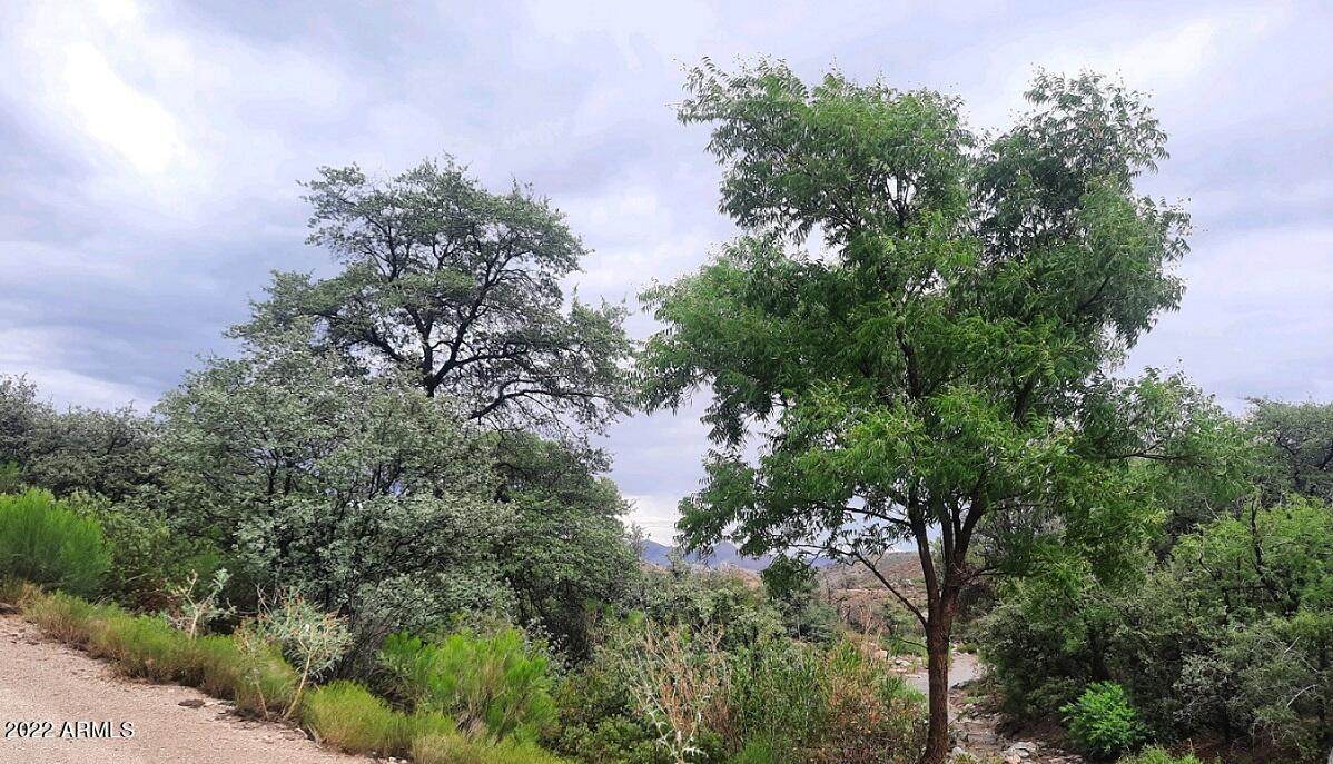 1XX Mescal Mountain Road - Photo 1