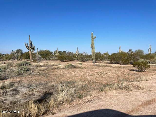 22690 Cactus Forest Road - Photo 1