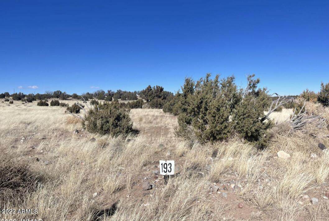 Lot 193 Windsor Valley Ranch - Photo 1