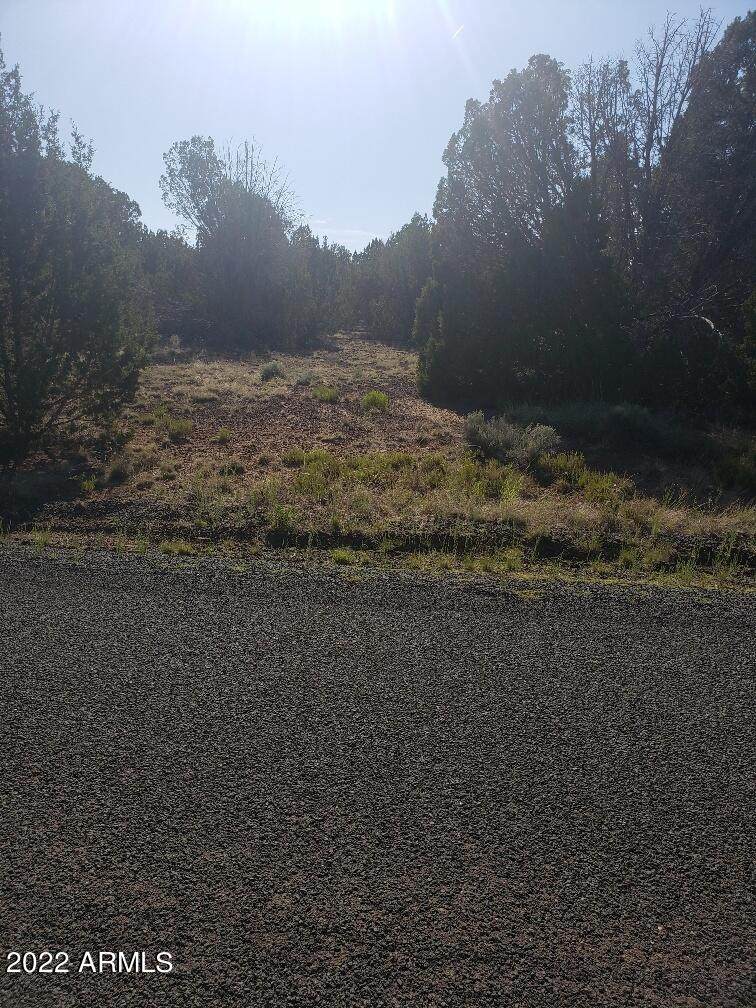59 Spring Drive - Photo 1