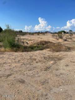 30632 Roosevelt Street - Photo 1