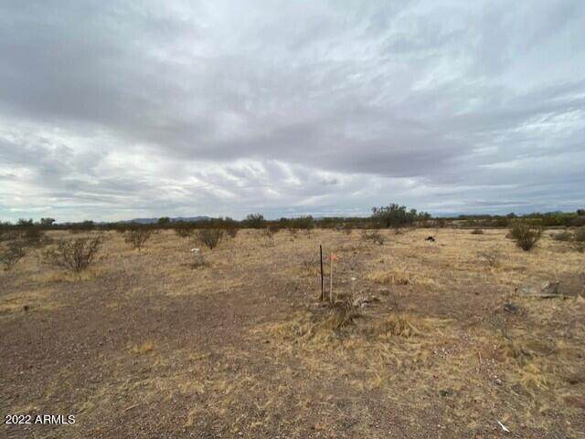 31500 Lone Mountain - Photo 1