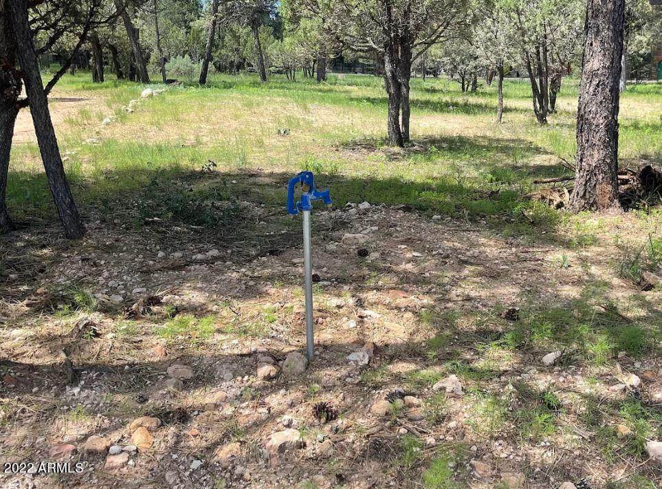 2862 Buck Circle - Photo 1