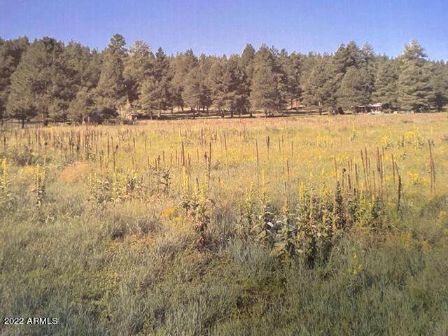6090 Big Game Trail - Photo 1