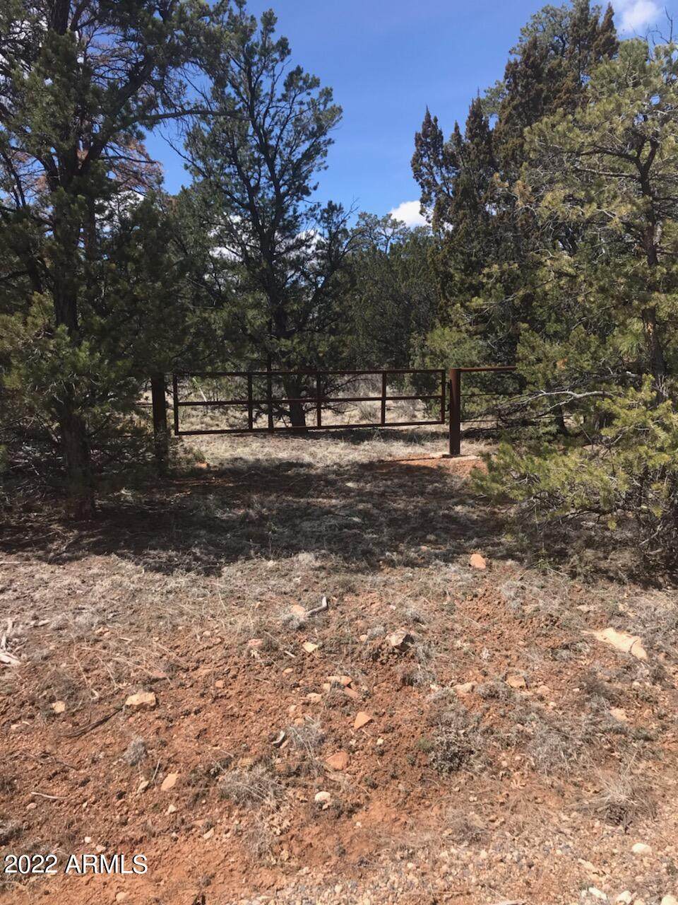 5209 Twin Oaks Loop - Photo 1