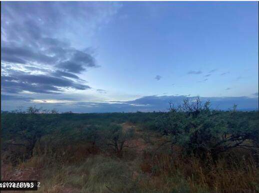 4916 Ranch Road - Photo 1