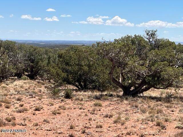 4135 Apache Road - Photo 1