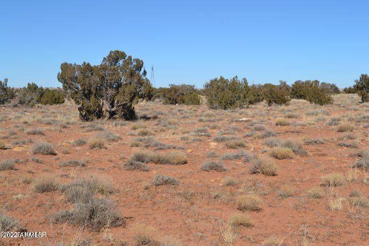 TBD Lot 526 Chipewa Trail - Photo 1
