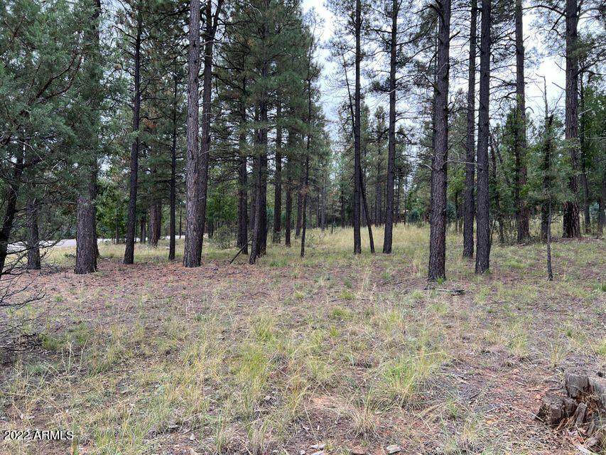 2412 Hopi Drive - Photo 1
