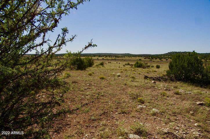 TBD Antelope Valley 40 Acres - Photo 1