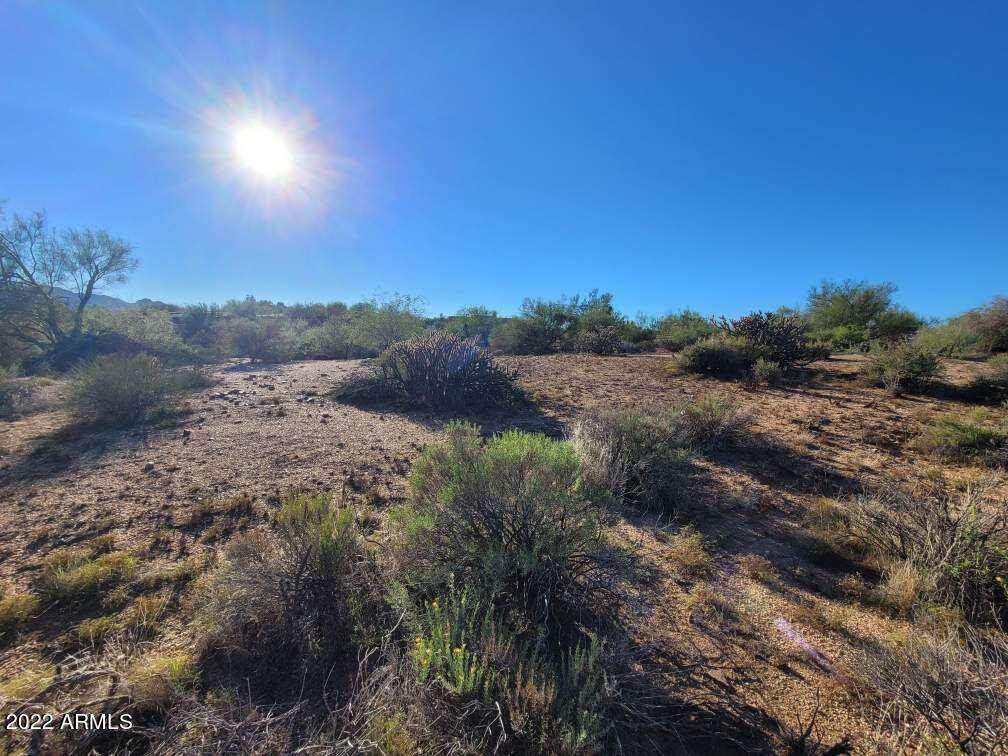 142xxx Quail Track Road - Photo 1