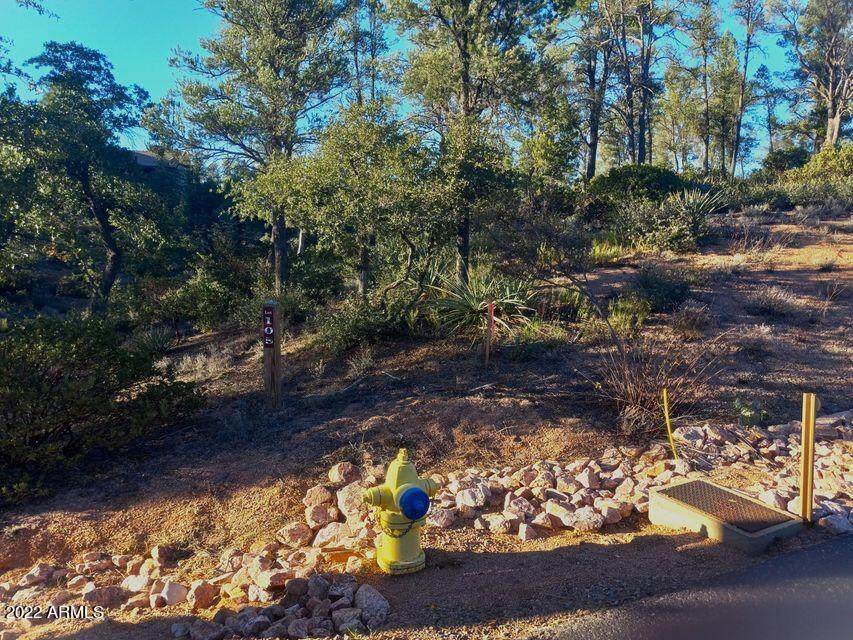 2400 Rim Club Drive - Photo 1